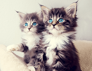 測繪CAD丨批量標注坐標,你不需要嗎?